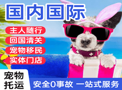 白山空运公司国际宠物托运 【国
